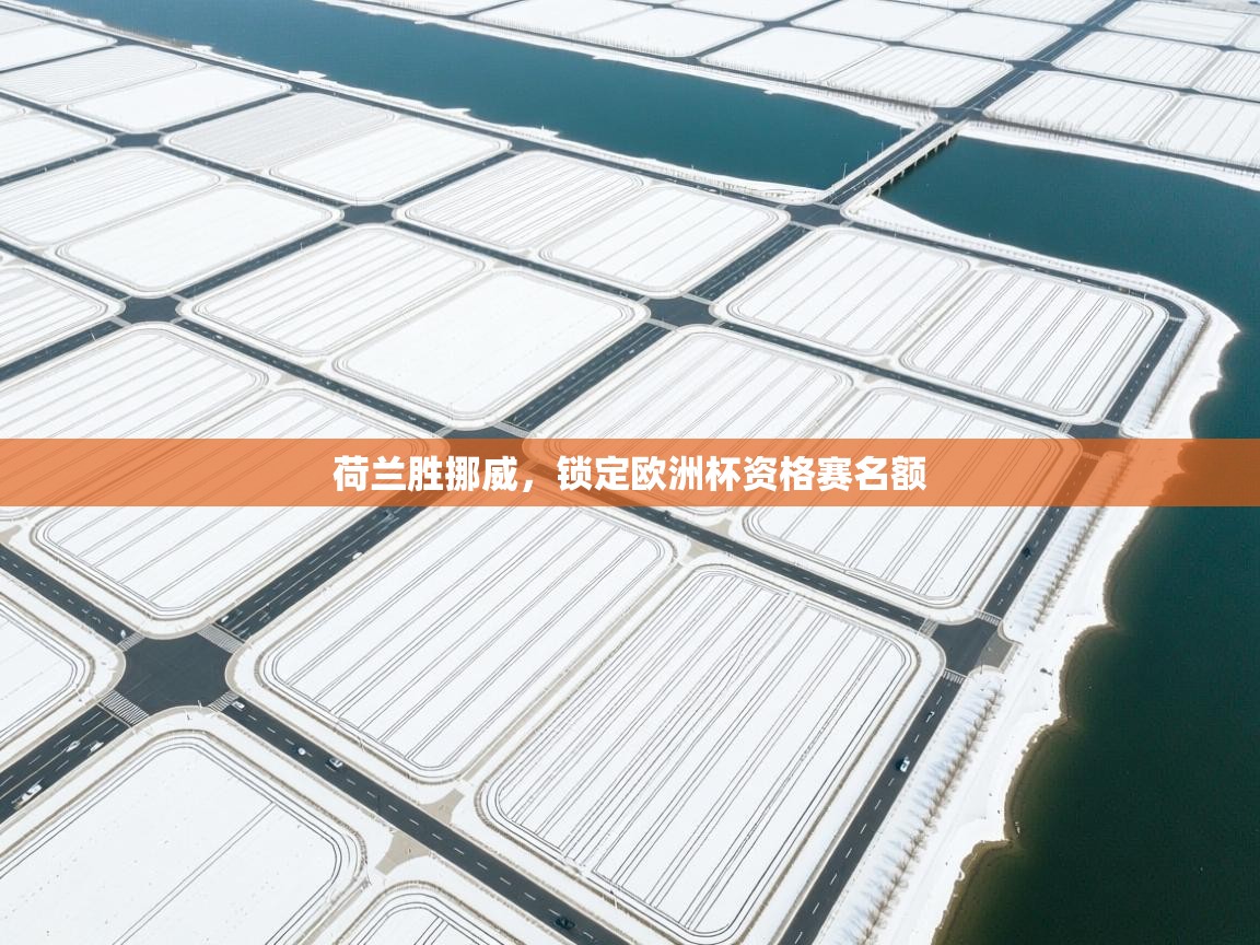 开云体育极速下载镜像-荷兰胜挪威，锁定欧洲杯资格赛名额  第1张