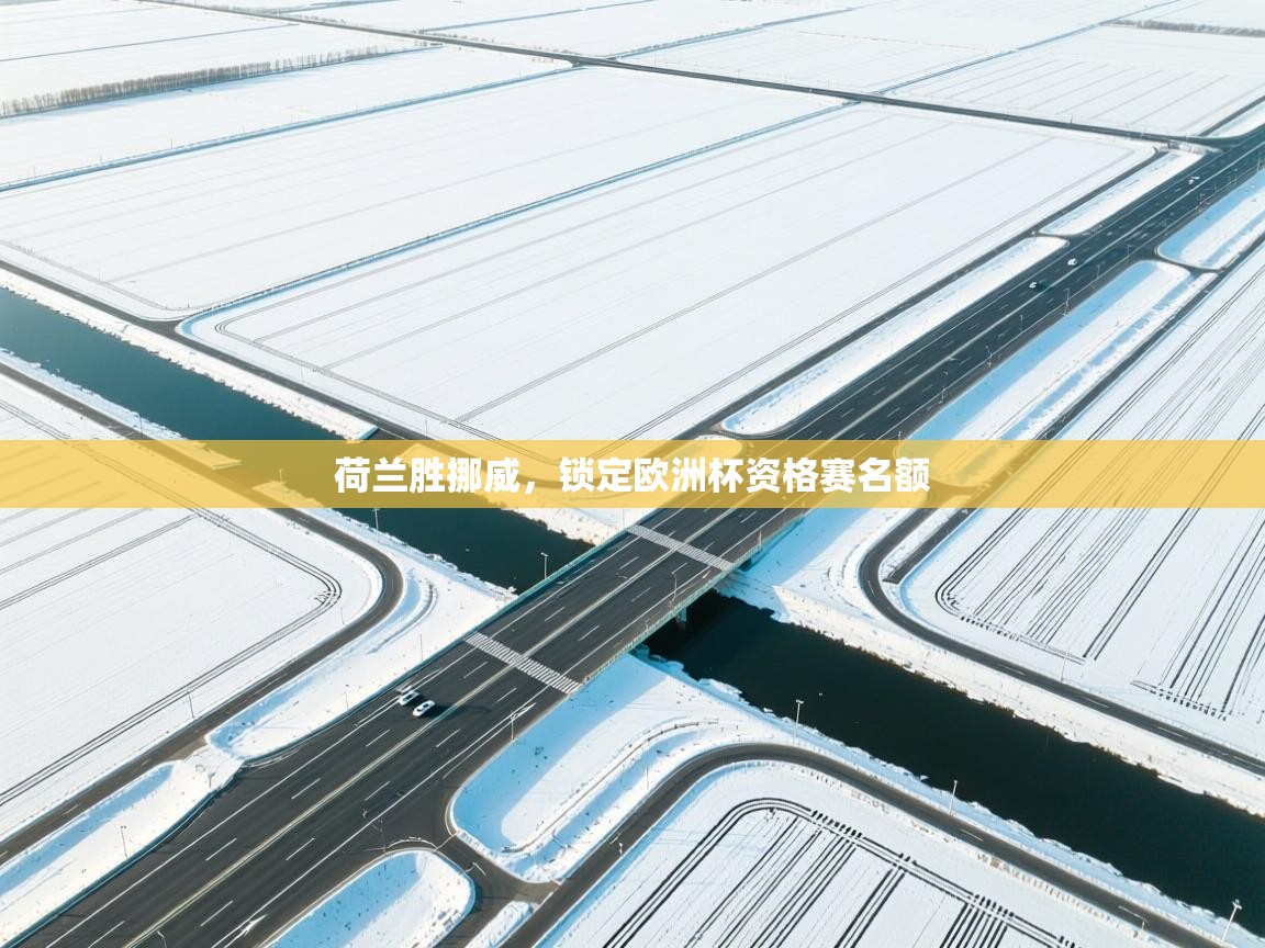 开云体育极速下载镜像-荷兰胜挪威，锁定欧洲杯资格赛名额  第4张