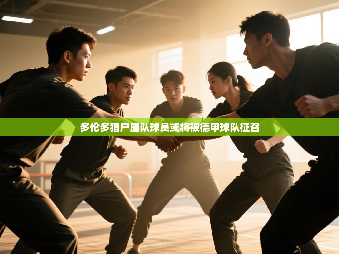 开云体育修改登录密码-多伦多猎户座队球员或将被德甲球队征召 第3张