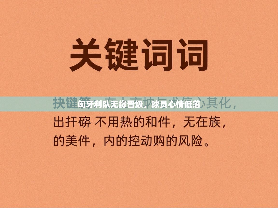 开云体育app投诉-匈牙利队无缘晋级，球员心情低落  第1张