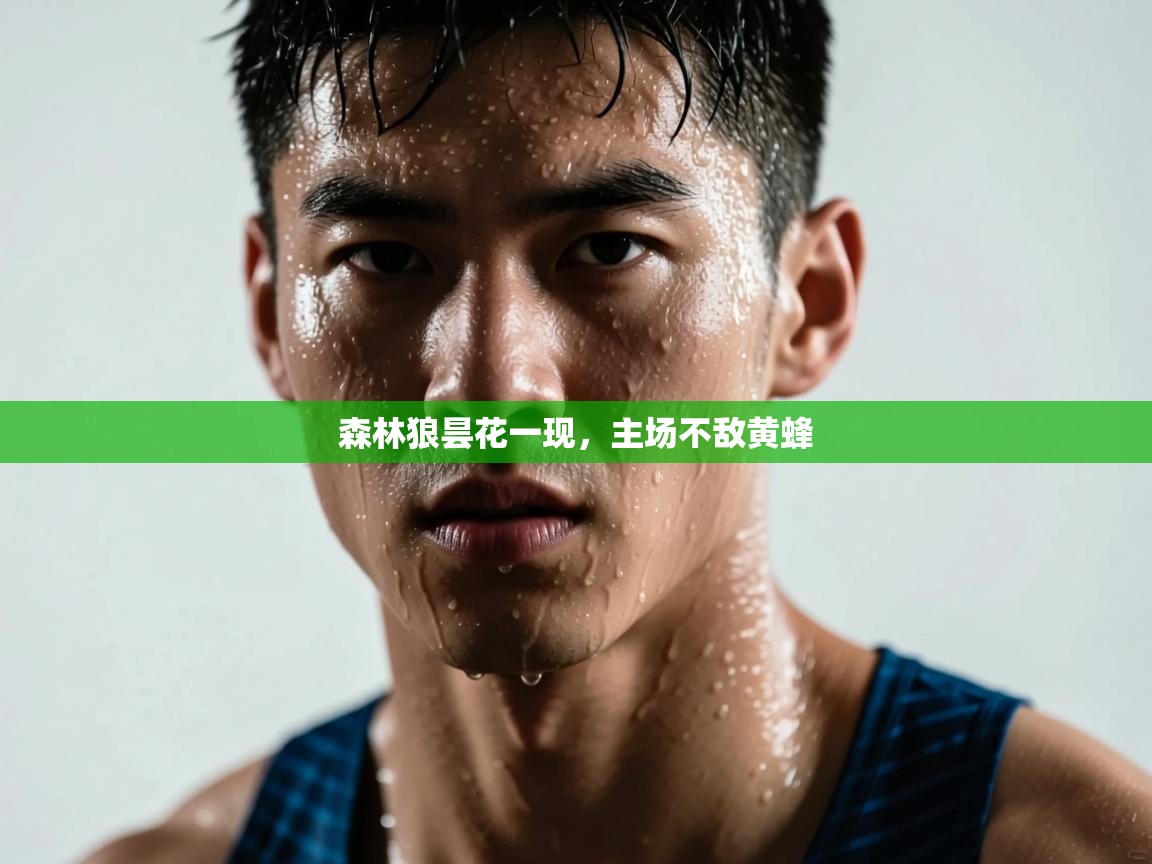 开云体育入口下载-森林狼昙花一现，主场不敌黄蜂  第3张