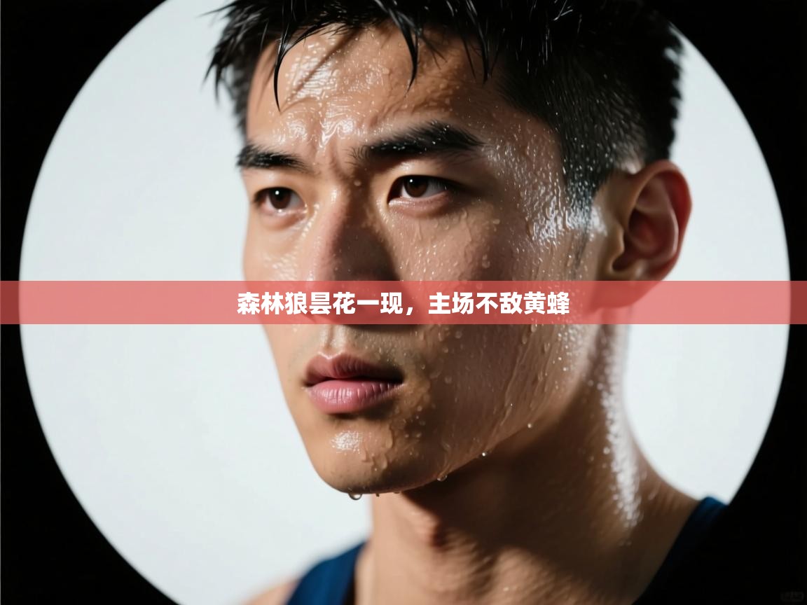 开云体育入口下载-森林狼昙花一现，主场不敌黄蜂  第4张